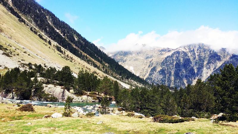 Residence Nemea Les Chalets D'Estive Cauterets Eksteriør billede